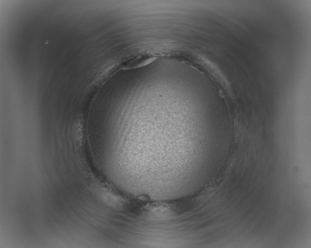 X0000062610113200601040949