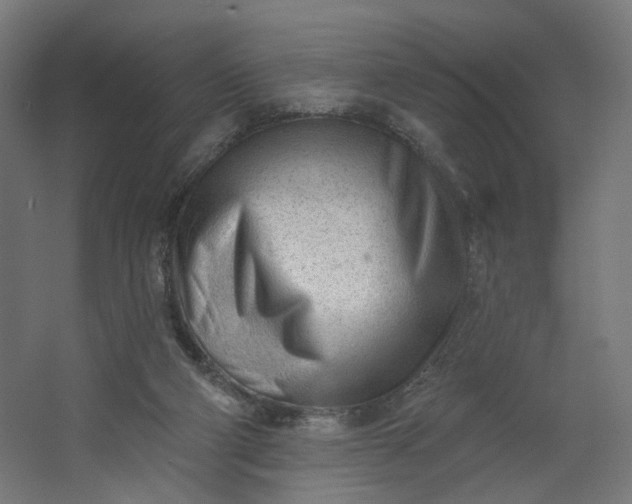 X0000062610114200601040949