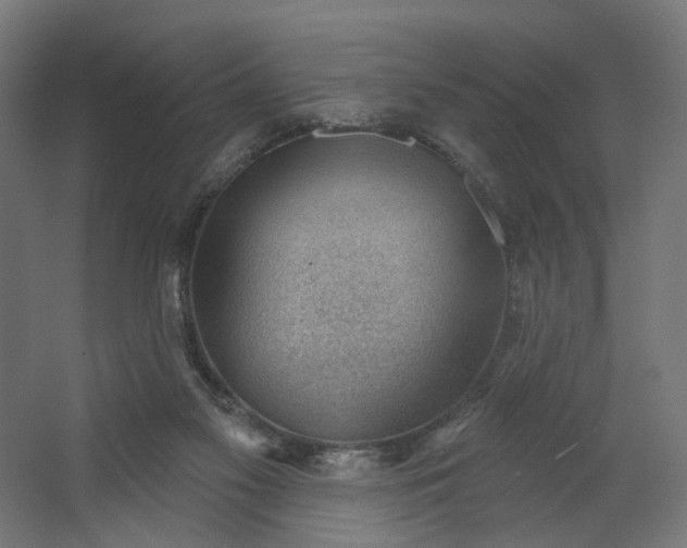 X0000062610117200601040949