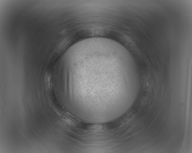 X0000062610123200601040949