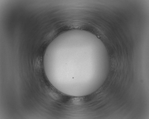 X0000062610126200601040949