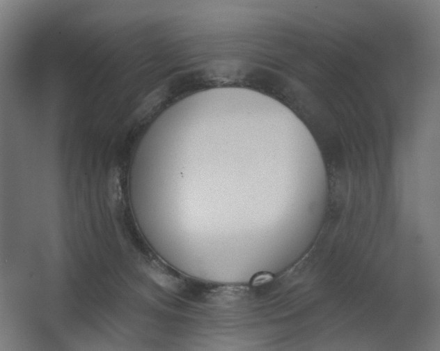 X0000062610128200601040949