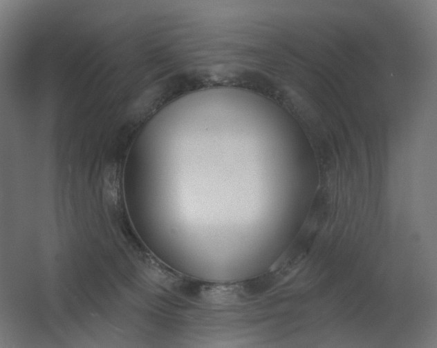 X0000062610129200601040949