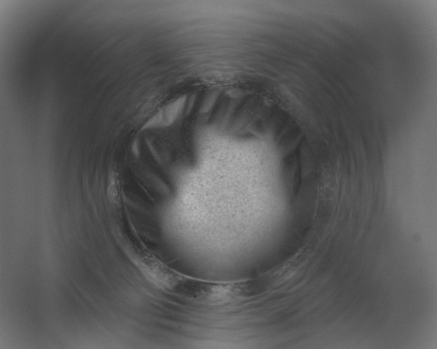 X0000062610130200601040949