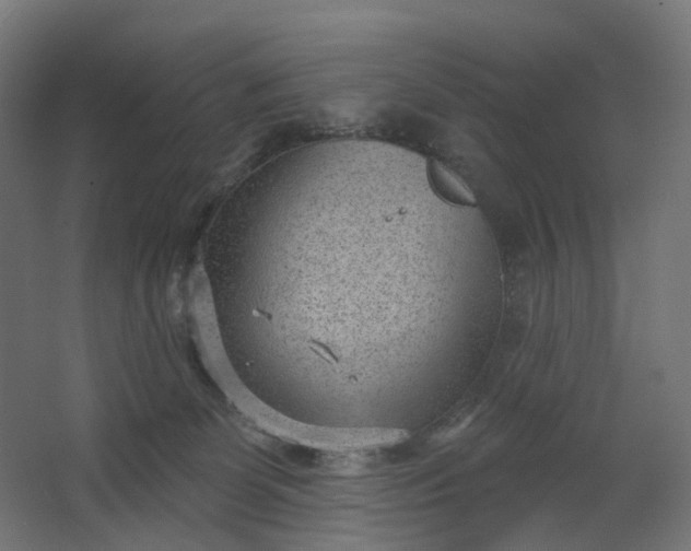 X0000062610131200601040949