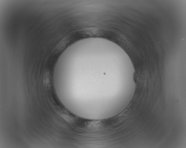 X0000062610132200601040949