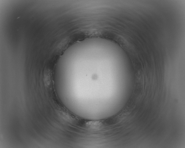 X0000062610133200601040949