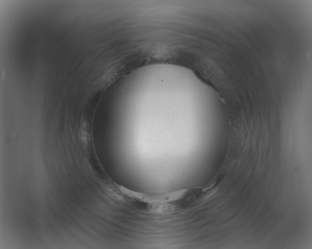 X0000062610135200601040949