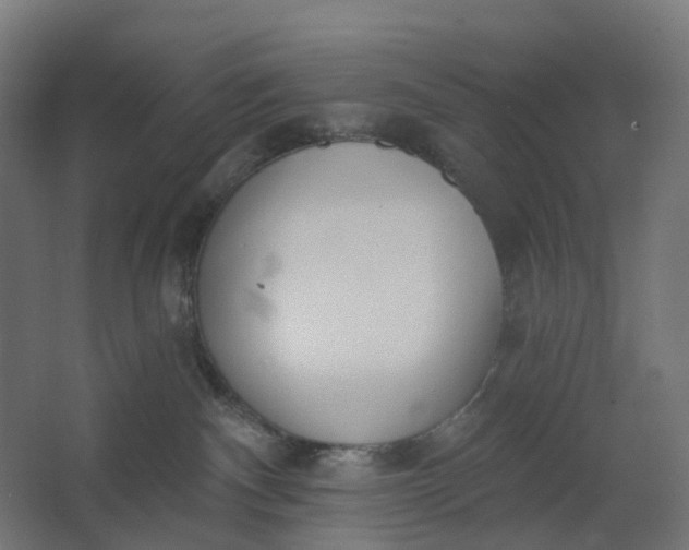 X0000062610140200601040949