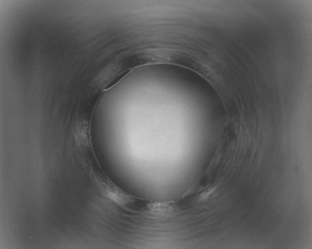 X0000062610141200601040949