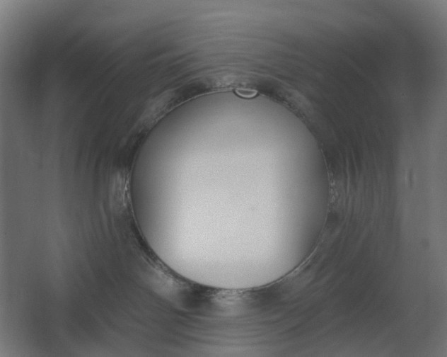 X0000062610142200601040949