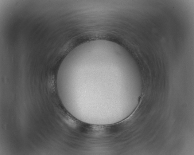 X0000062610144200601040949