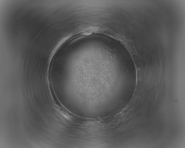 X0000062610147200601040948