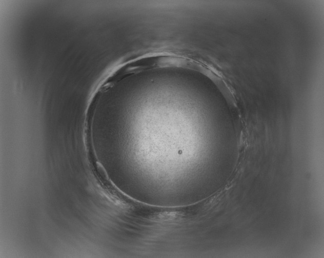 X0000062610152200601040948