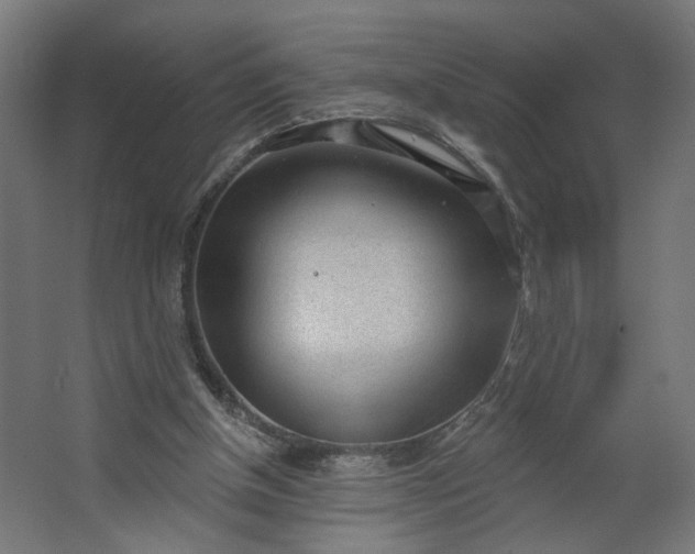 X0000062610154200601040948