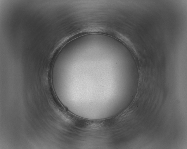 X0000062610155200601040948