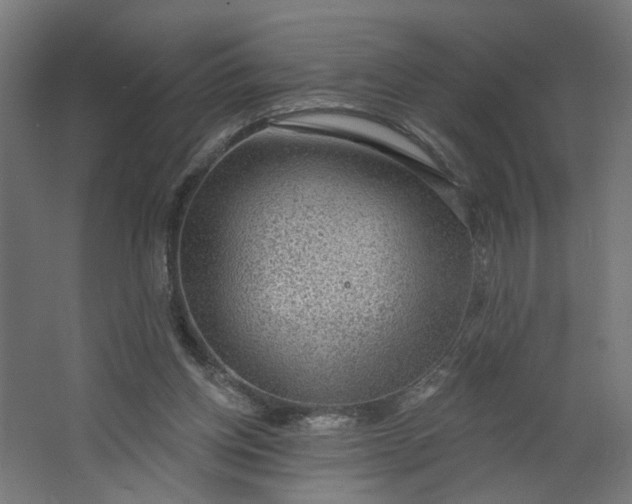 X0000062610158200601040948