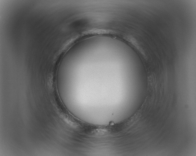 X0000062610159200601040948