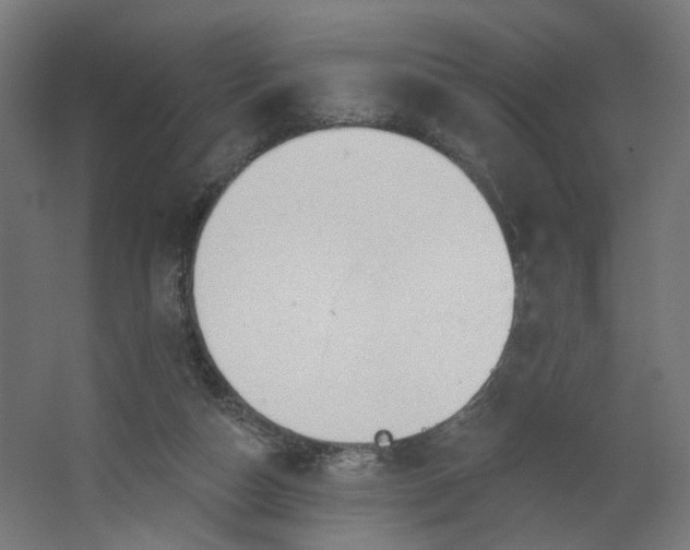 X0000062610162200601040948