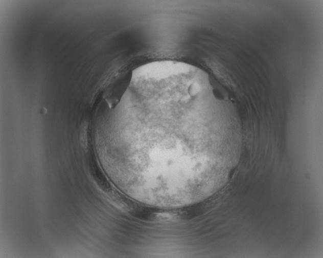 X0000062610167200601040948