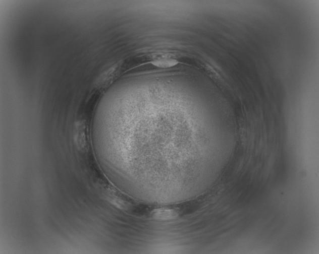 X0000062610169200601040948