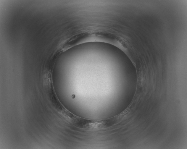 X0000062610172200601040948