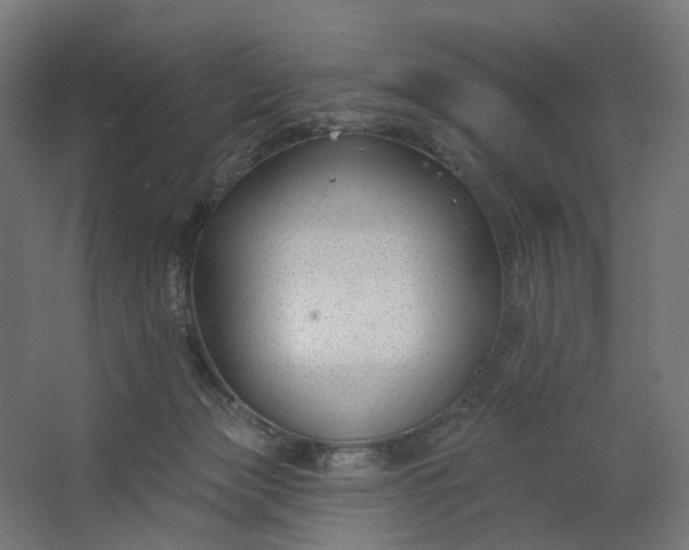 X0000062610173200601040948