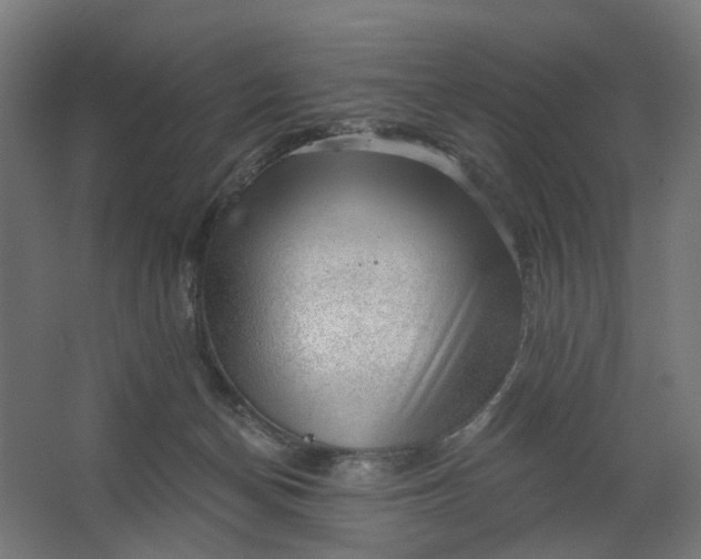 X0000062610174200601040949