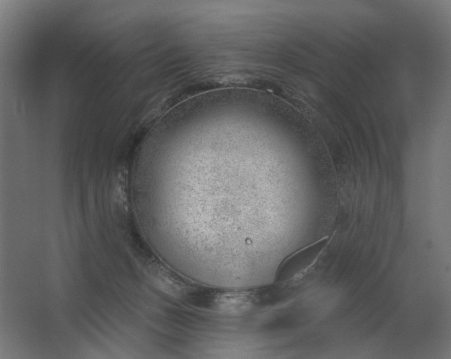 X0000062610175200601040949