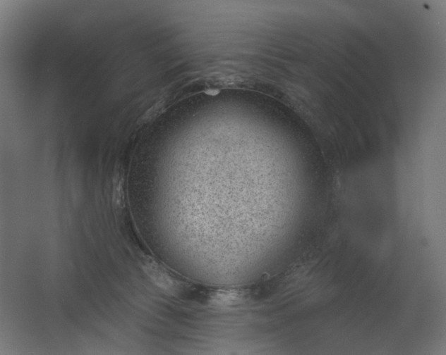 X0000062610177200601040949