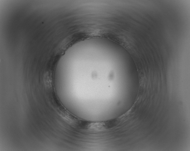 X0000062610179200601040949