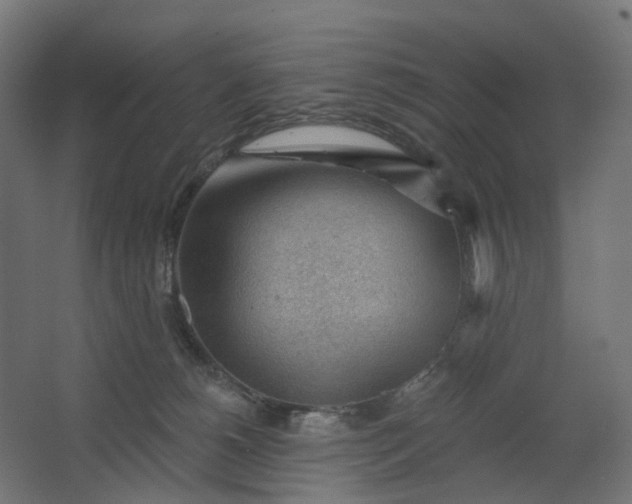 X0000062610180200601040949