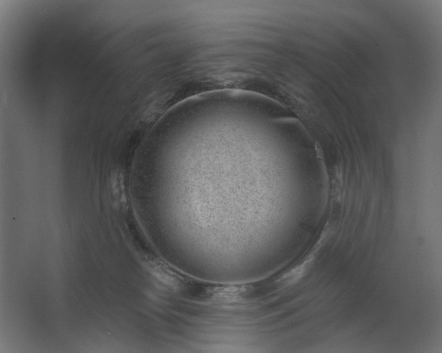 X0000062610182200601040949