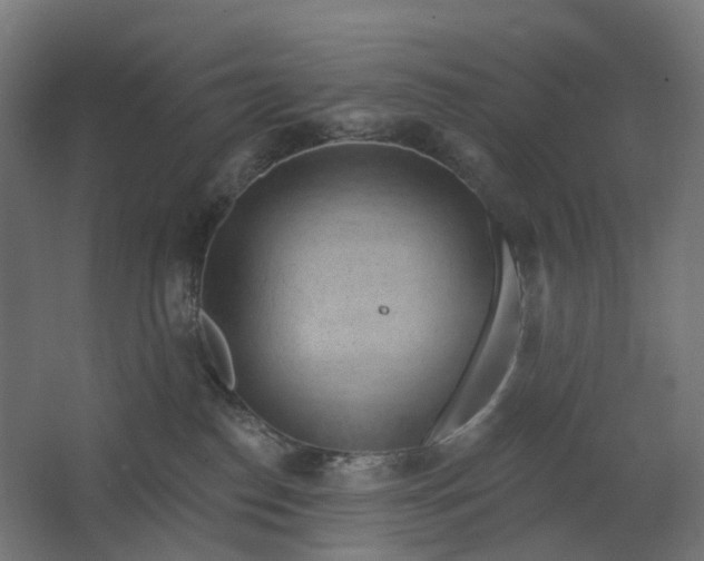 X0000062610186200601040949