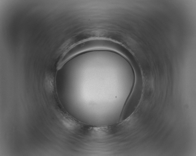 X0000062610188200601040949