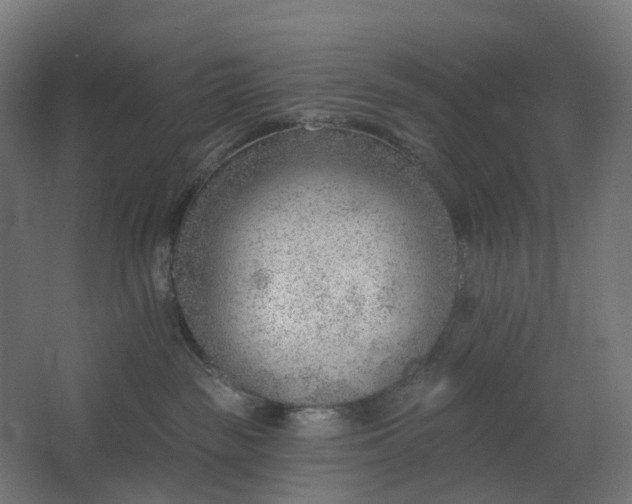 X0000062610189200601040949