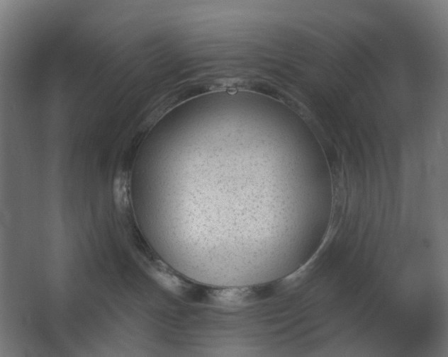 X0000062610191200601040949