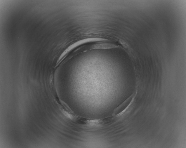 X0000062610192200601040949