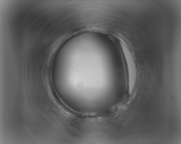 X0000062610193200601040948