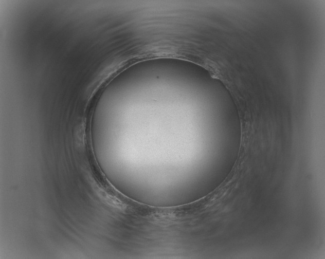 X0000062610194200601040948