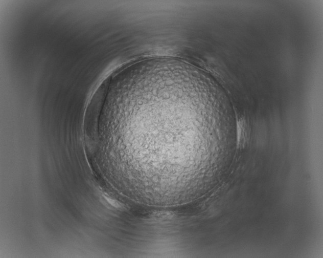 X0000062610195200601040948