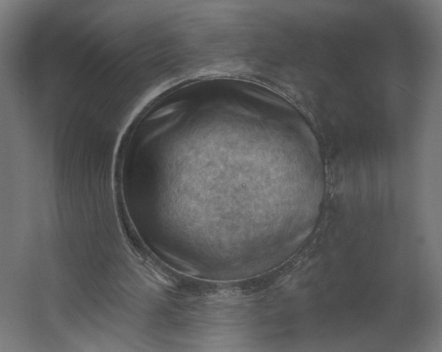 X0000062610196200601040948