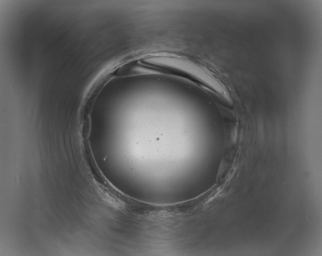 X0000062610197200601040948