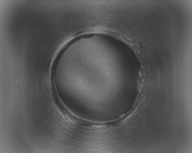 X0000062610200200601040948