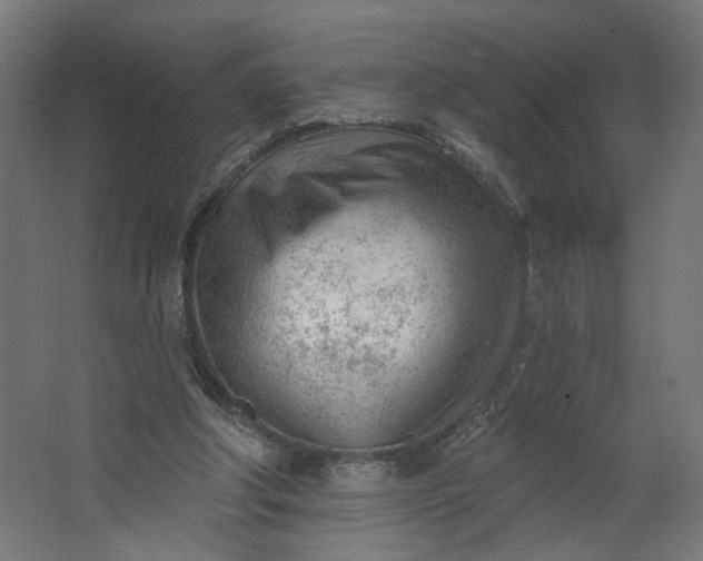 X0000062610202200601040948