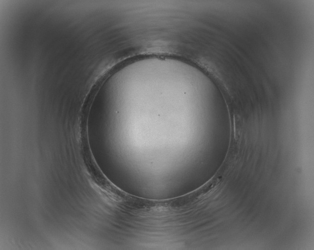 X0000062610204200601040948