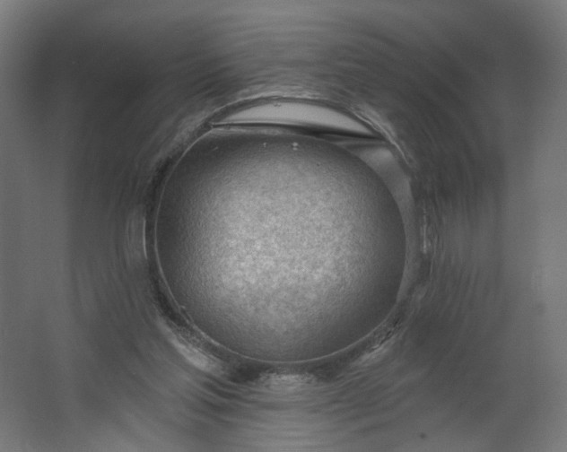 X0000062610205200601040948