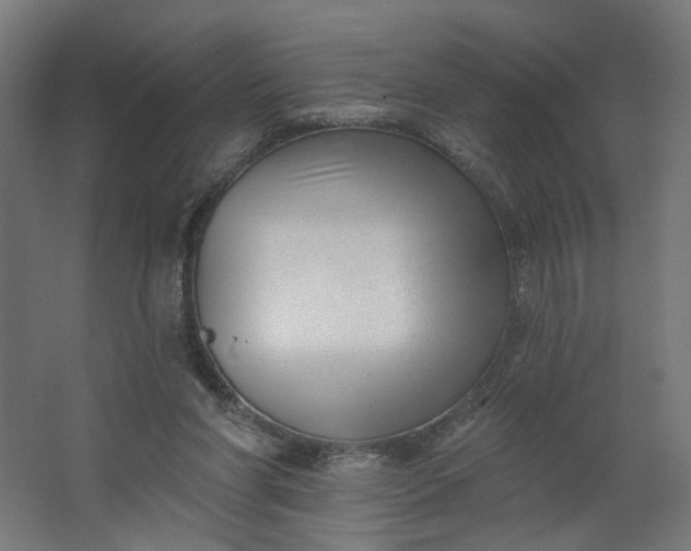 X0000062610206200601040948