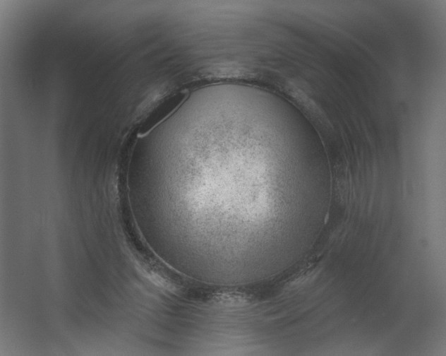 X0000062610207200601040948