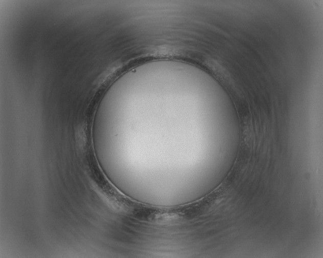 X0000062610208200601040948